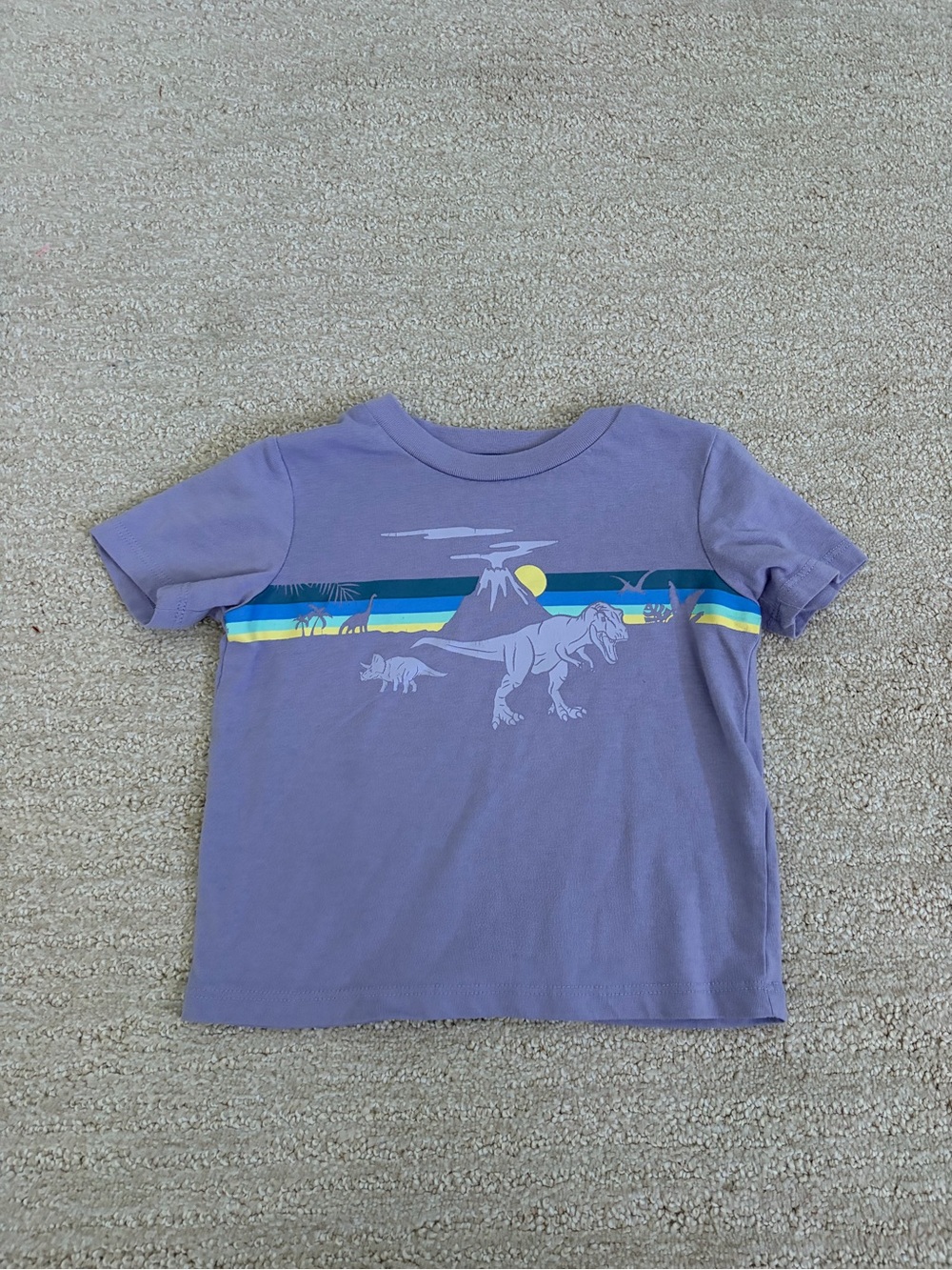 Falls Creek Purple Dinosaur Sunset Stripe Tee